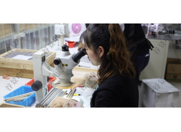 貼片共模電感方向如何區分你知道嗎？